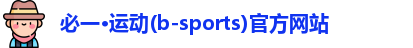 必一运动bsports官方下载